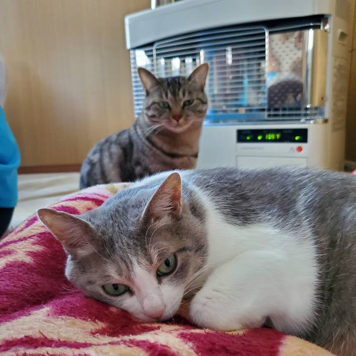 5653c10c 5eeb 4707 8f85 9c1b6a7e95af 1707402676337