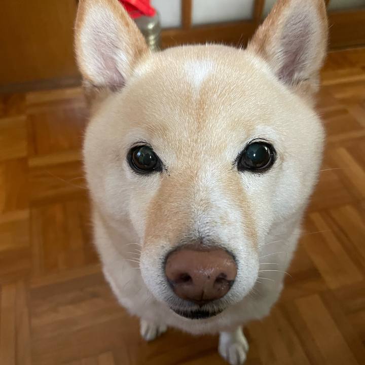 5653e7e7 d373 4780 b4db 90a4ad8c292a 1682633582420