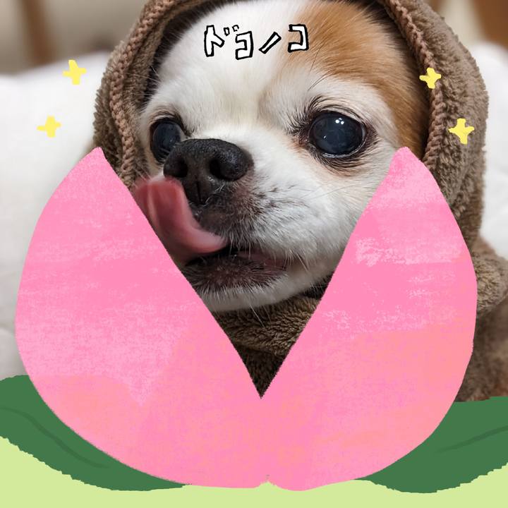 5653f301 c3c4 426f bb2f a288d97e8a9e 1772002347232