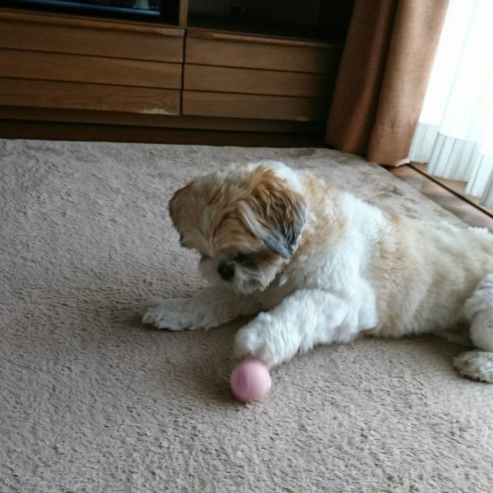 5653f836 1a1c 4420 b521 c71361e3130a 1534328759438