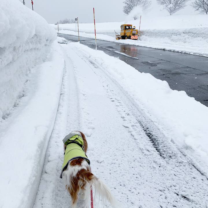 56540ed0 9ef4 4611 8251 39444fdaccfb 1613534826065