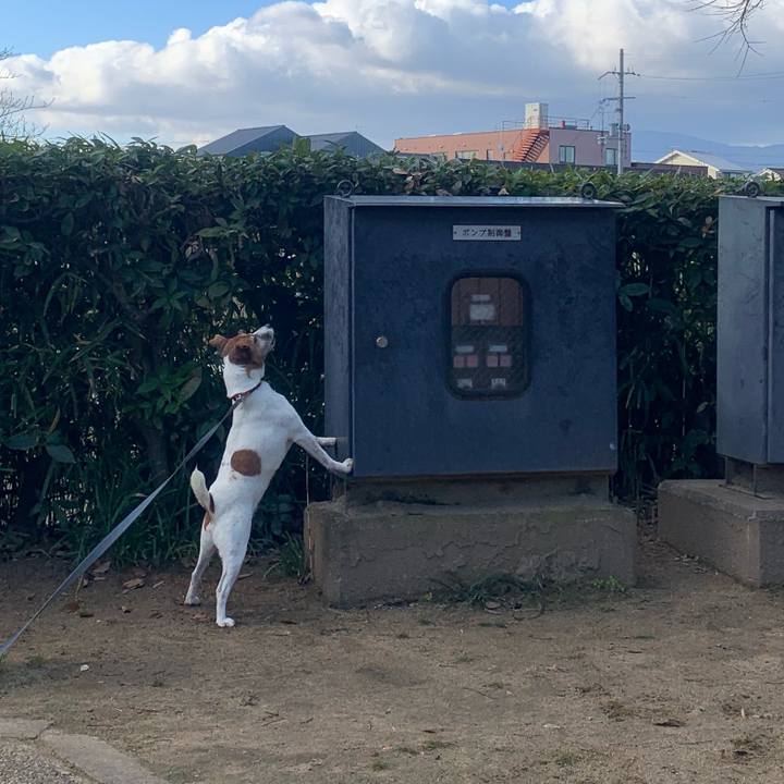 56542dbe a6e5 45b5 8c18 a21ba44de526 1546084691745