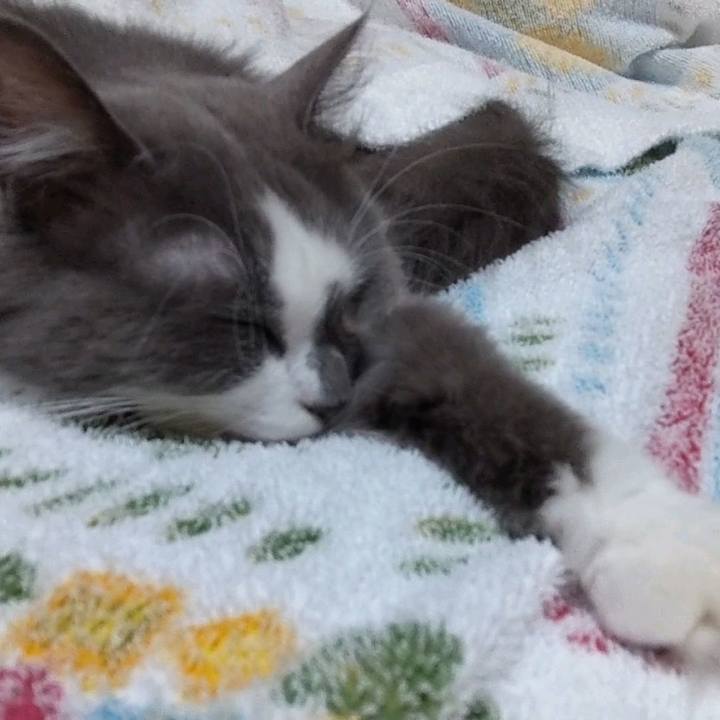 56543f84 4cf7 4c6d 9b75 b57ed25b739a 1664106556985