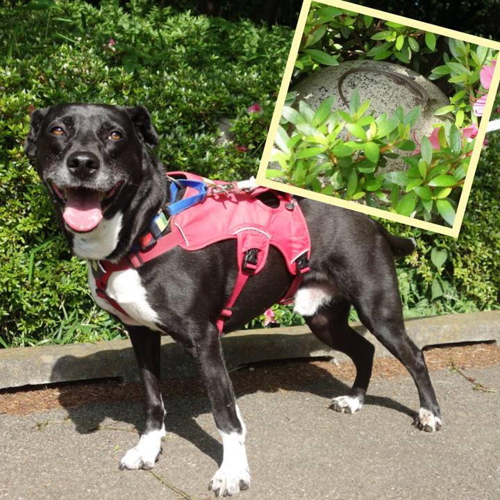 565474ce 7885 4c1d a820 ee618efa5e2b 1684284178006