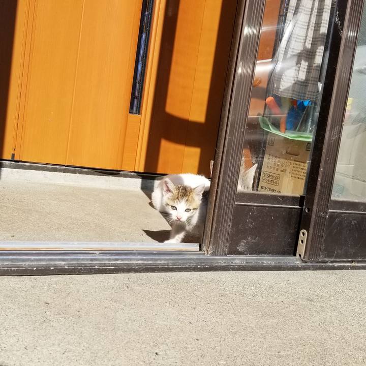 565490da 1eb4 4c7a b9cf 2307a022c959 1597675308695