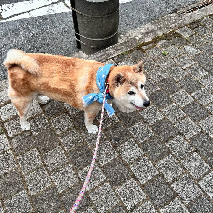 5654b34c a960 4498 8cee c1b595648e50 1752232819812