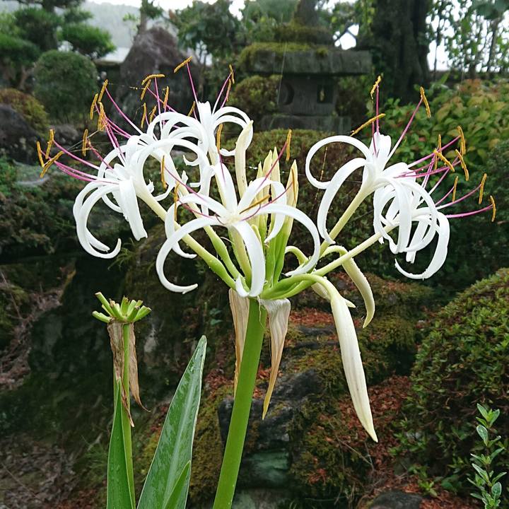 5654bf34 bd57 4086 af02 3aa74bee8e7c 1657236958972