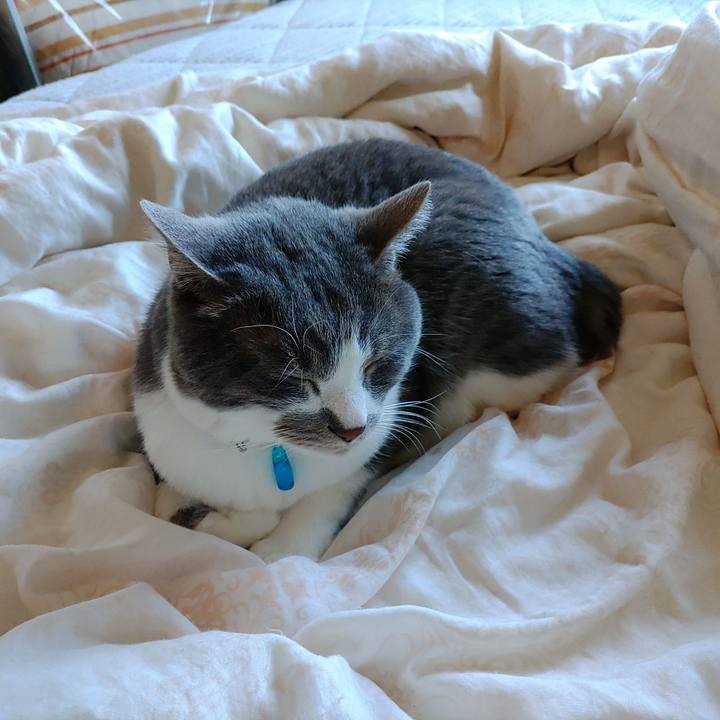 5654dc1c 7070 4a33 8b49 8cd5047a53e4 1715311992194