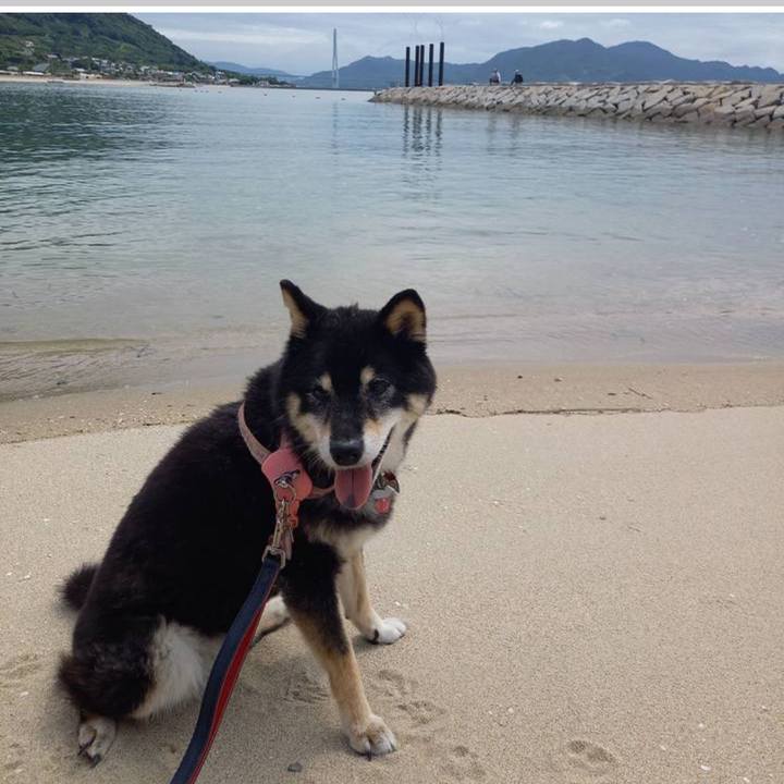 56553878 47ba 4300 b19e 55ad90ef8958 1649468649566