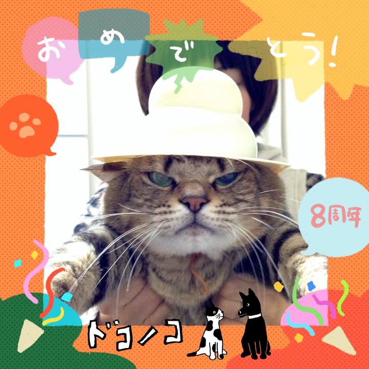 56556af4 ff7a 4267 89dc 393a9f10d15b 1717629837212