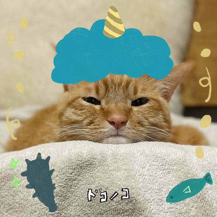 565575b5 c196 48c9 b54f c96ce0d415ad 1706878074950