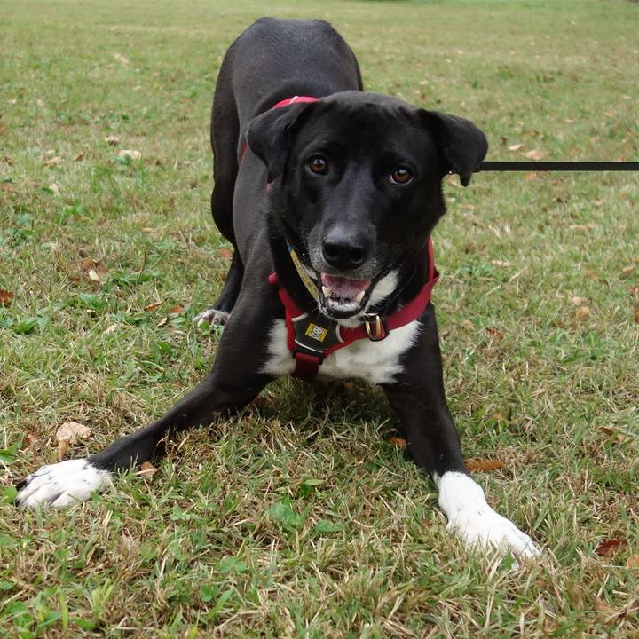 56558de4 bb1a 4609 843b c48b4ddcb1b8 1603413865874