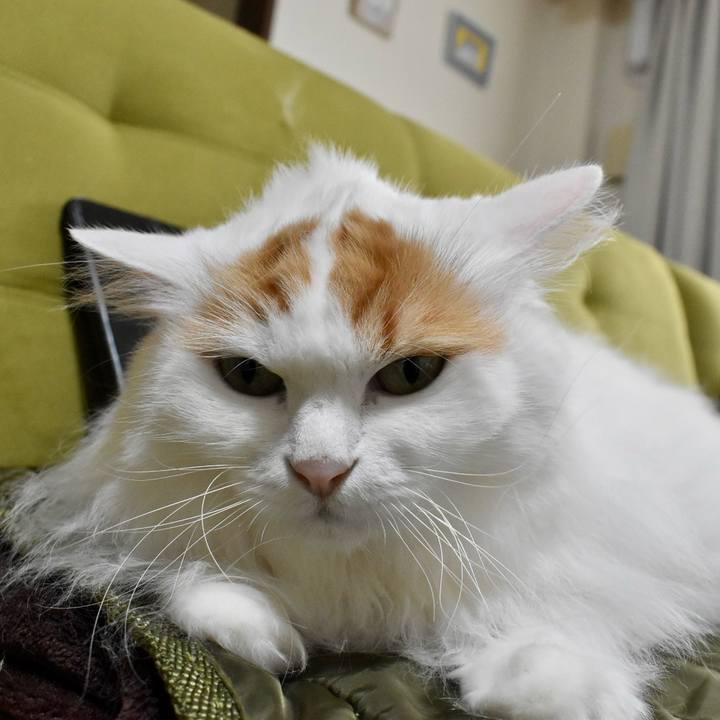 565597a8 eabb 4ce5 a85f dbdd60c27e8a 1761360324378