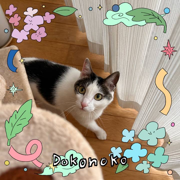 5655cf1c b127 4dda 8931 3cdc74e25dd6 1717737123015