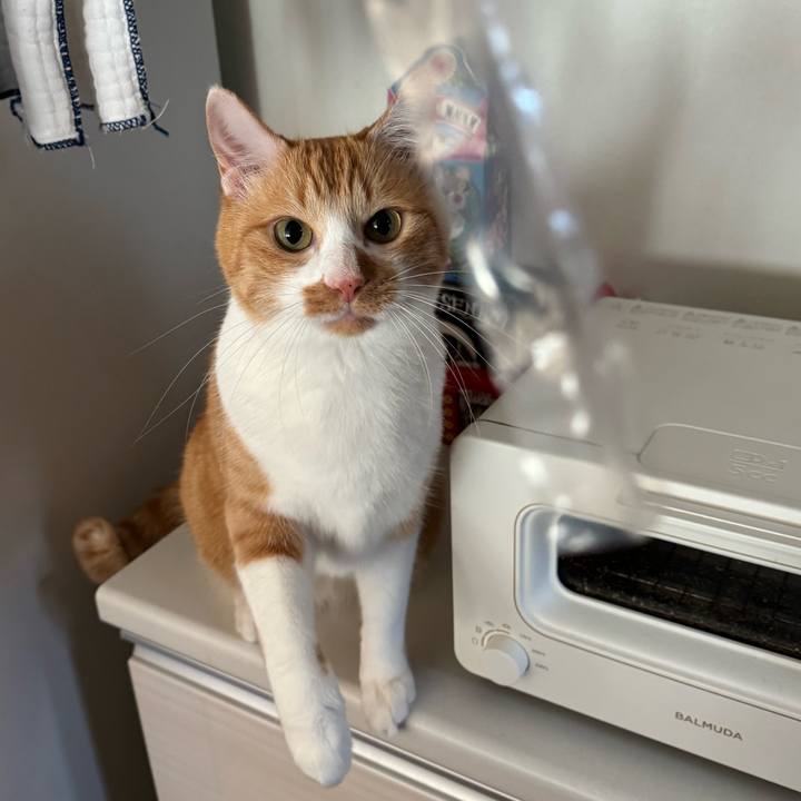 5655e20e de8d 47b9 b8e4 cf40cd549003 1764559974833