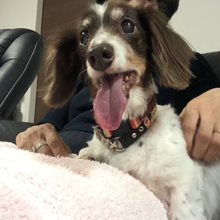 5655fa18 f372 4c65 ab25 c8fcfa202d09 1595768691546