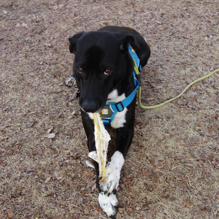 56561943 d4d5 4b87 9fff 052863f23e21 1612401269450