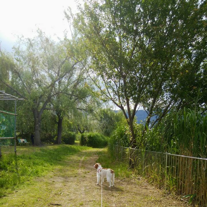 56561daa 0ecf 41c9 ae27 f692d008427a 1560470917454