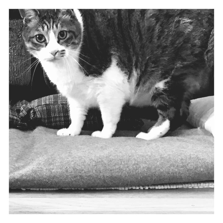 56563bf9 6768 410e 8190 36bb18d79ecd 1651391234986