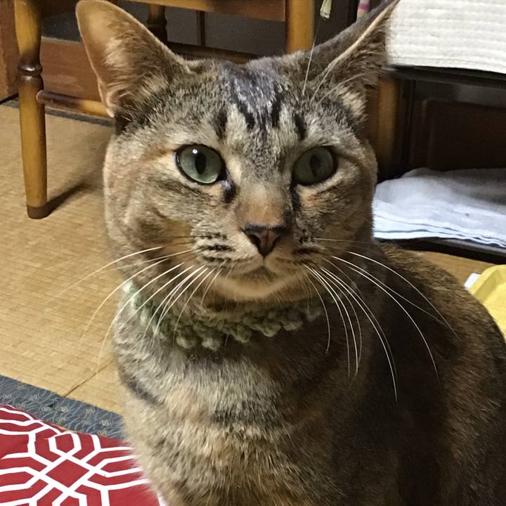 5656b841 b884 4af0 8c23 e4fec88f1cc4 1640250833222