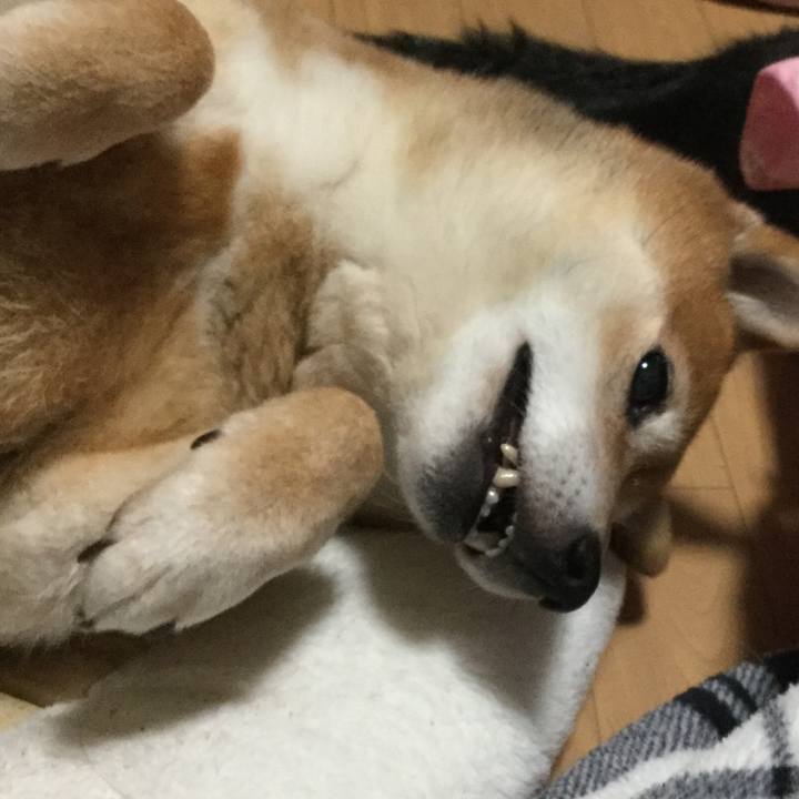 5656d741 9381 4ef3 aca6 c8693c34a807 1583136748964