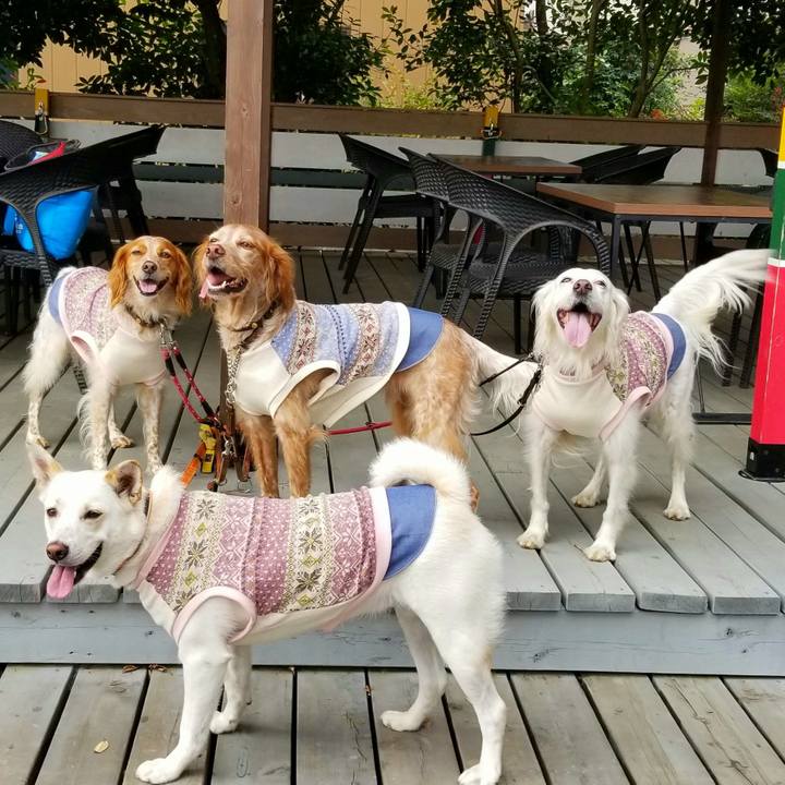 5657315d e83a 4489 95de e92769abefdc 1668293209130