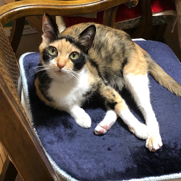 56574a27 afda 4cf4 be86 c6605b36be9b 1549278986757