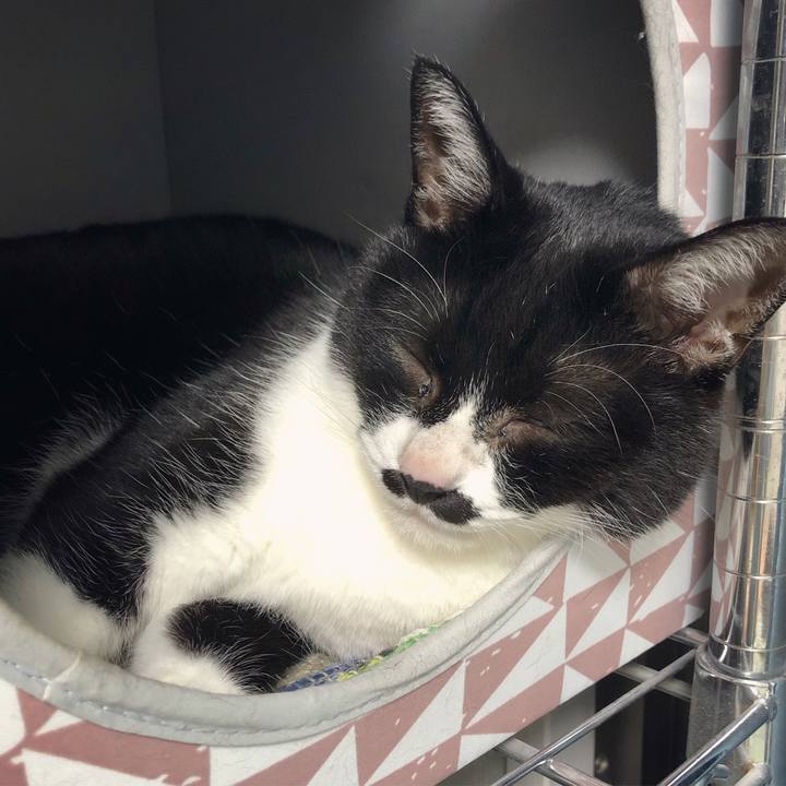 56576375 43a0 465d 81a0 23bab481de35 1622732455711