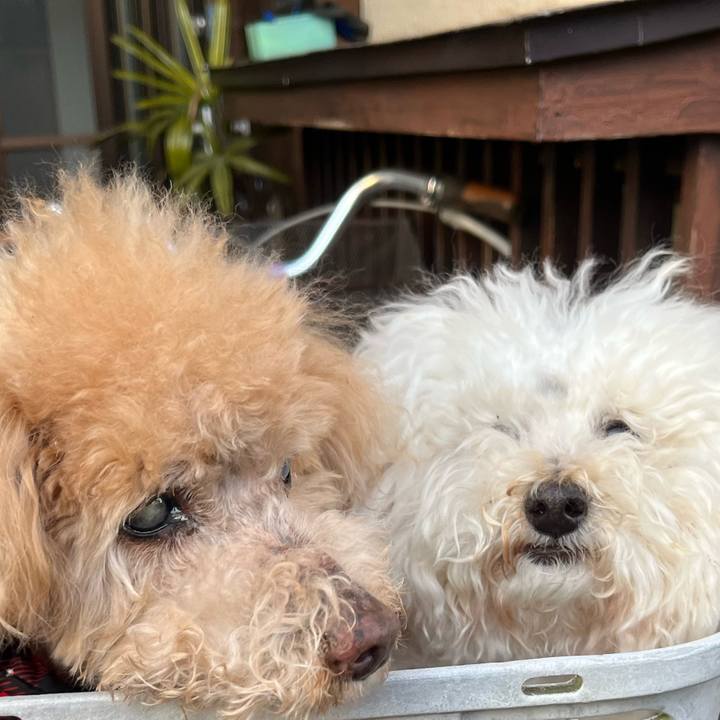 5657731c 3e1f 4016 89a9 03e9424ad54d 1768721596815