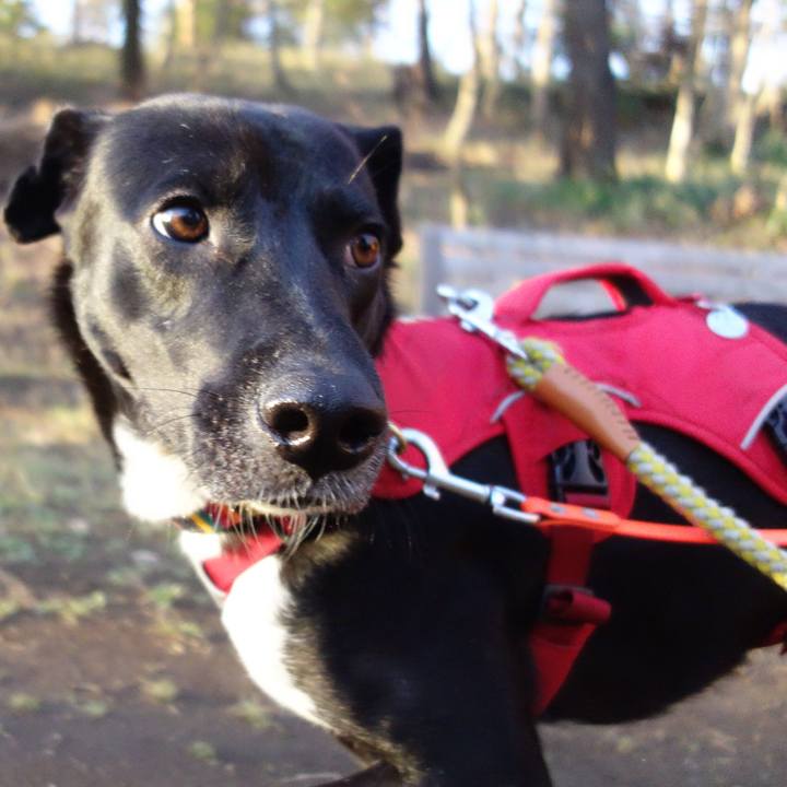 5657a9a9 d9be 4258 b81a 2a8c176f9817 1583986271435