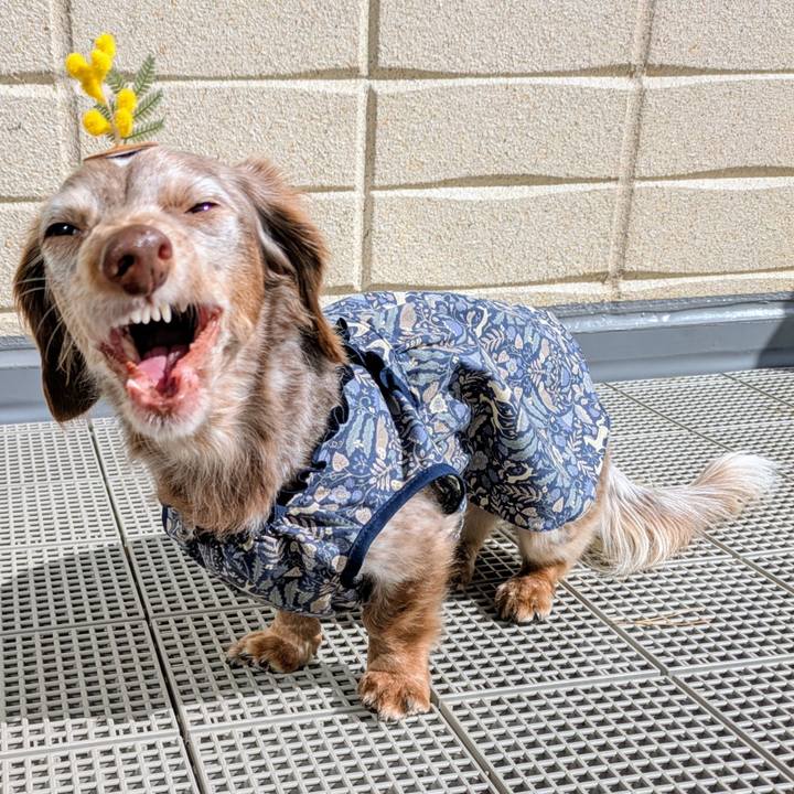 5657e827 52f4 4f8c 8487 f3b331400603 1771136258738