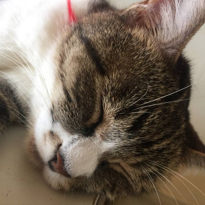 56580d34 a181 447c b15e 93241ae1f0fa 1567226545915