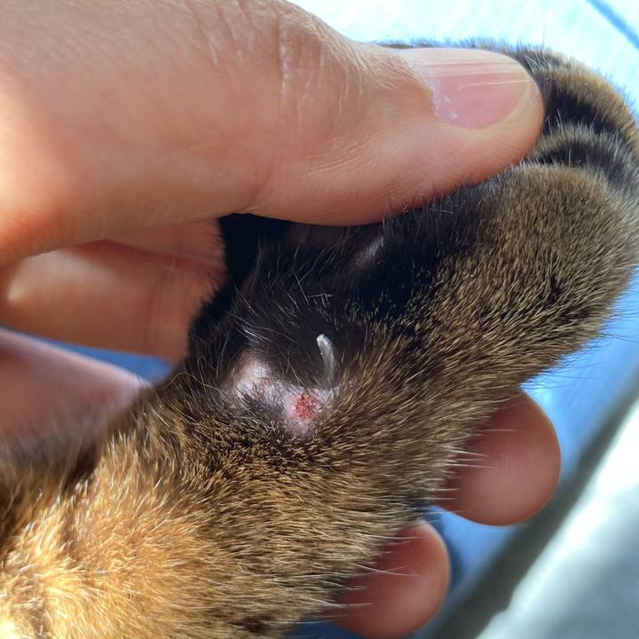 5658431e bfec 41b0 835d e4093dcd65a1 1606015422113