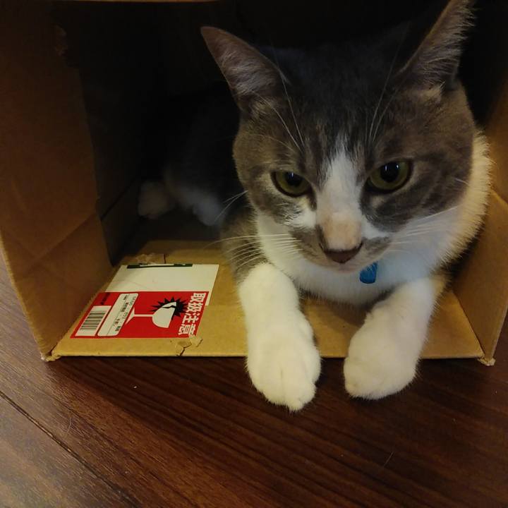 56586339 cece 47d6 a1c6 79b6e9471f69 1595917530981