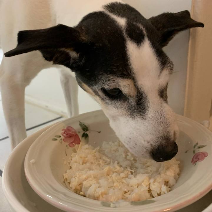 56586bd4 bfcf 41b5 9225 1afdb0f46ddd 1645929714411