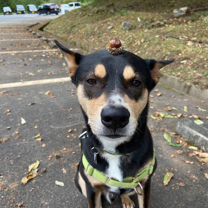 5658933d b6c8 4cfb 8f56 b6ea4f232ed4 1634556860214