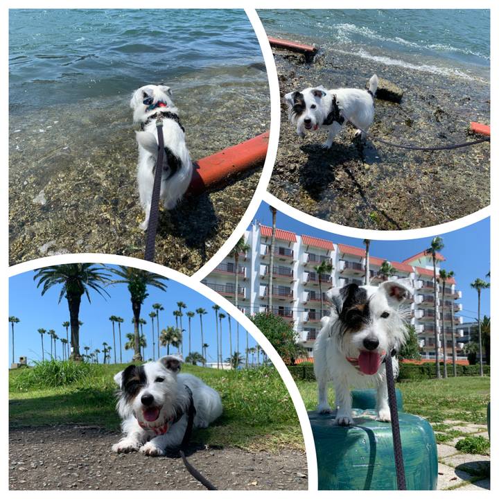 5658b1c8 7d48 43e9 acad 064072bdb0df 1656118669621