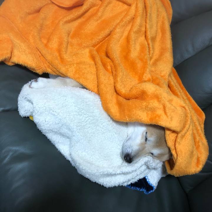 5658dca5 b1dc 4f0e 9fb7 9a22f55f2b11 1579179529959