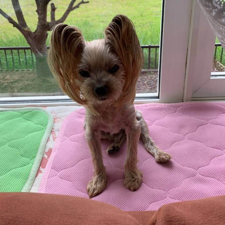 5658dff6 ad22 44c9 9da5 1baa82ef730f 1629971823282