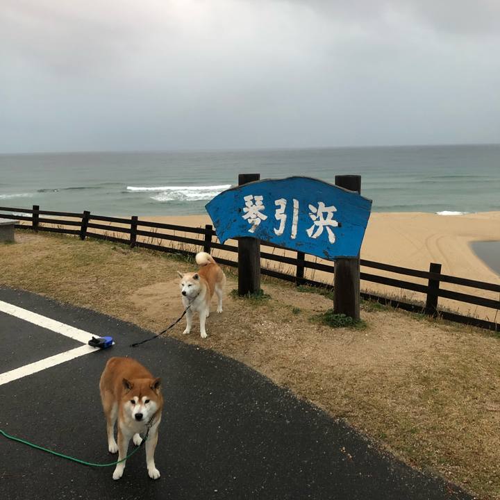 5658ecbb be9b 4cbd a6a4 e63836f125ce 1543536586510