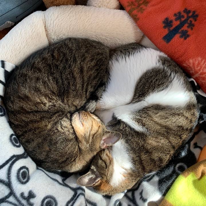 565902ab 01ff 47fa ba26 7f1ddf042784 1573087921699