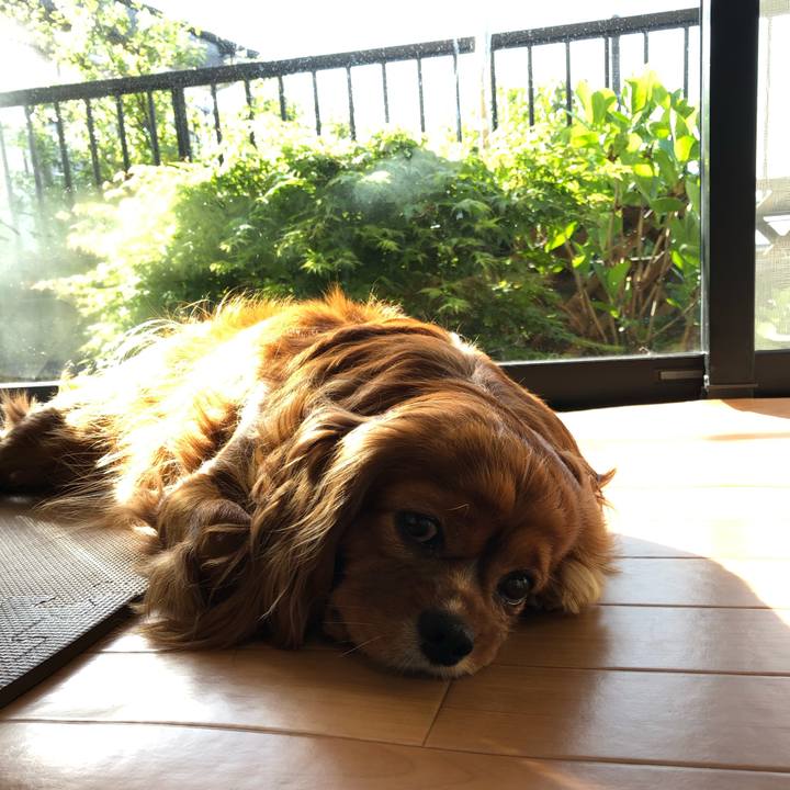 56590bb3 9b85 426d 85d0 4aec01fe1c6a 1618699955218