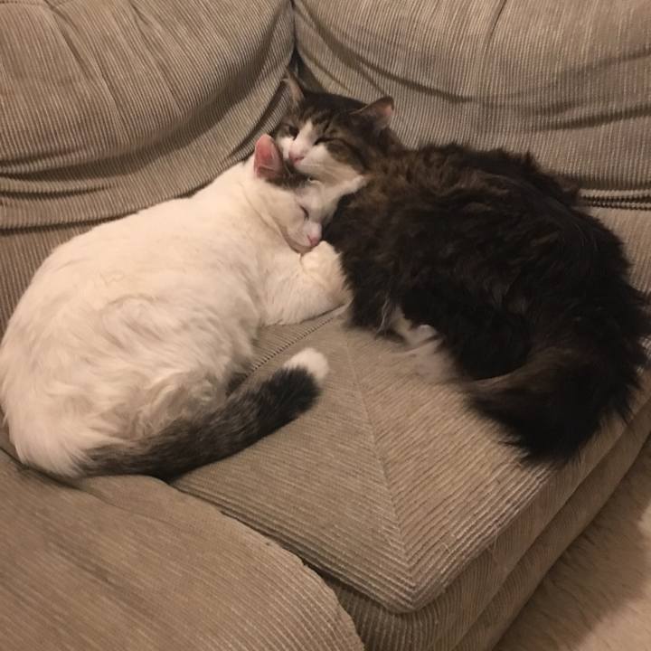 5659542a ccc7 4140 877d e95a4f5099d5 1522305684552