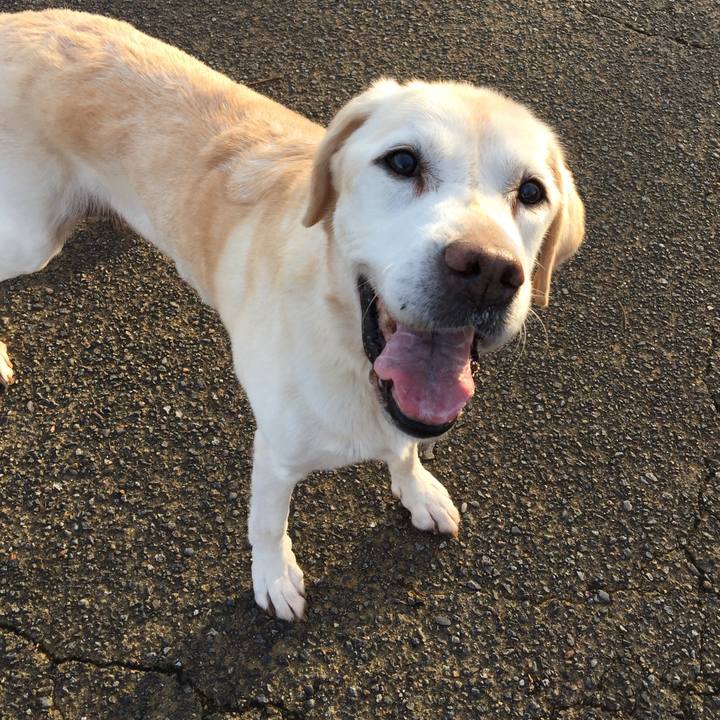 5659dcb4 d799 4b25 be43 6a94c385c4d0 1603152247028