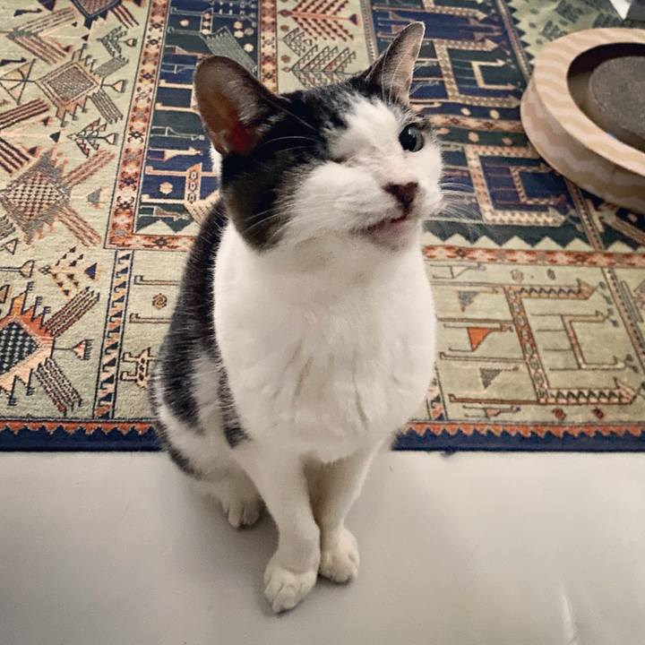 5659e104 d470 47a3 a0cb e736e87f2a46 1604822685614