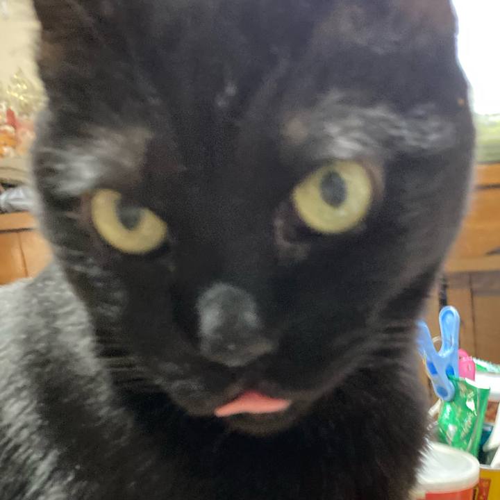 565a08ad de93 445d 937d 3d69ef13c914 1765523819799