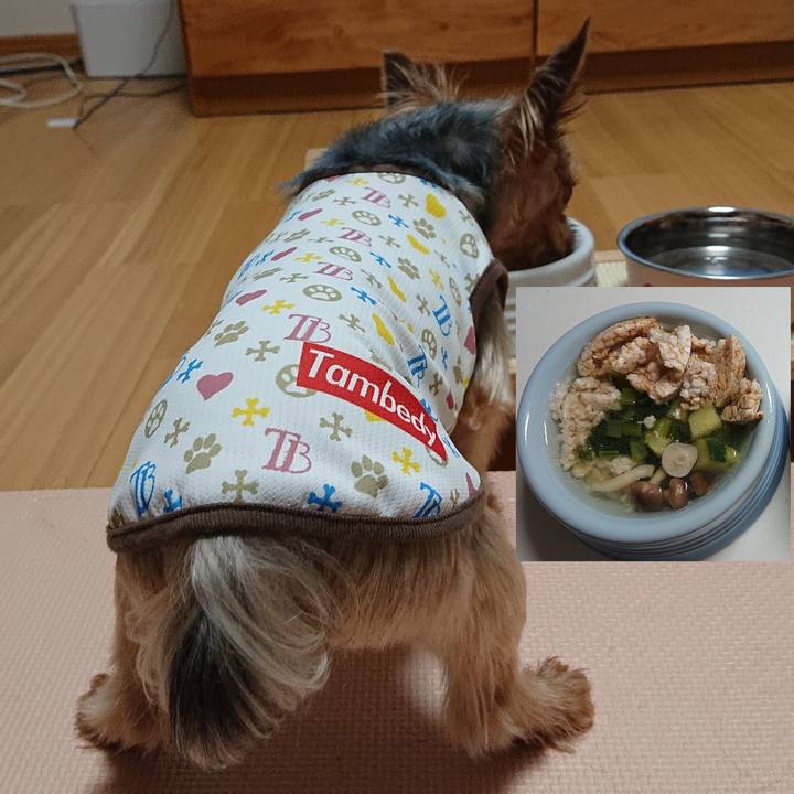 565a0c23 d031 4ec0 8cf5 44b652d82b65 1562410357651