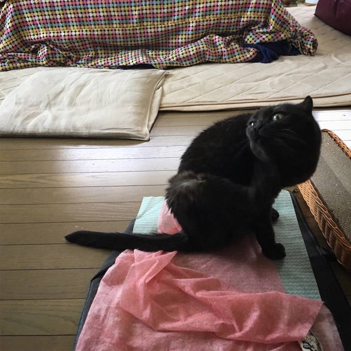 565a422f 5de7 4590 aece 2e0a52a524e1 1526349586798