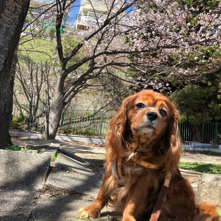 565a561e 45d0 421d 9e09 11bd54d8c6f9 1648355139316