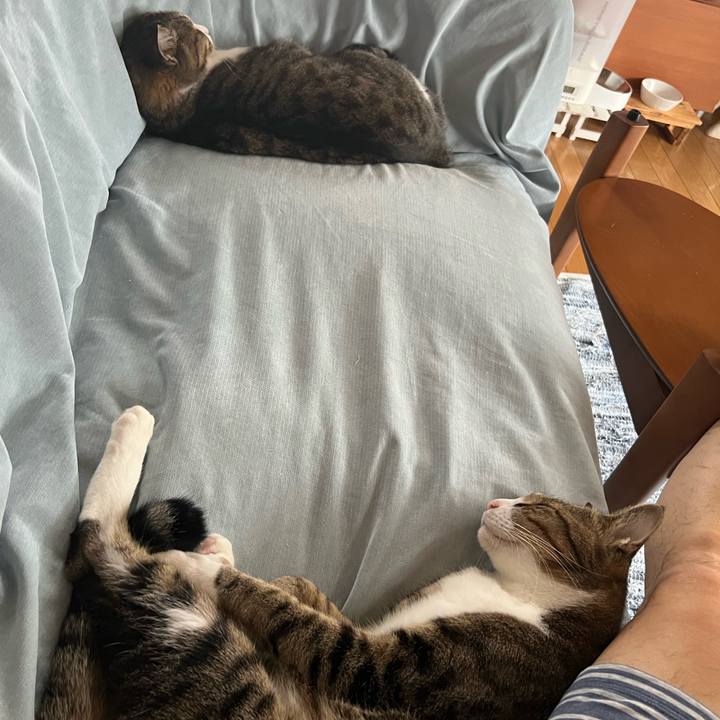 565a6f39 70a9 4752 b850 bd340b6cc8fa 1759536260250